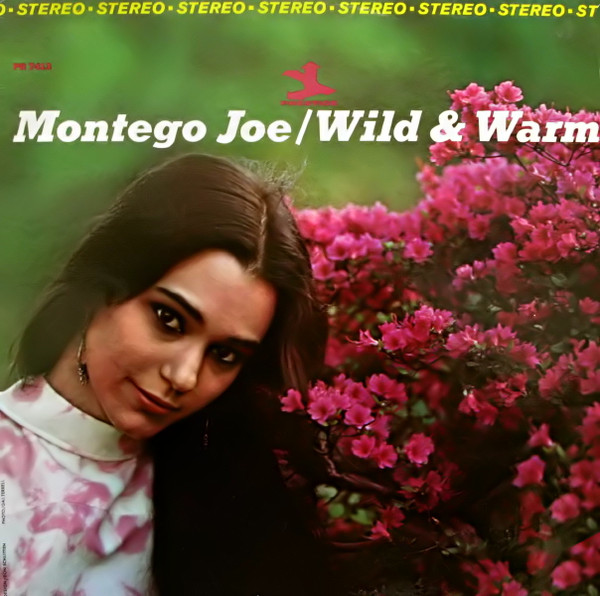 Wild And Warm cover
